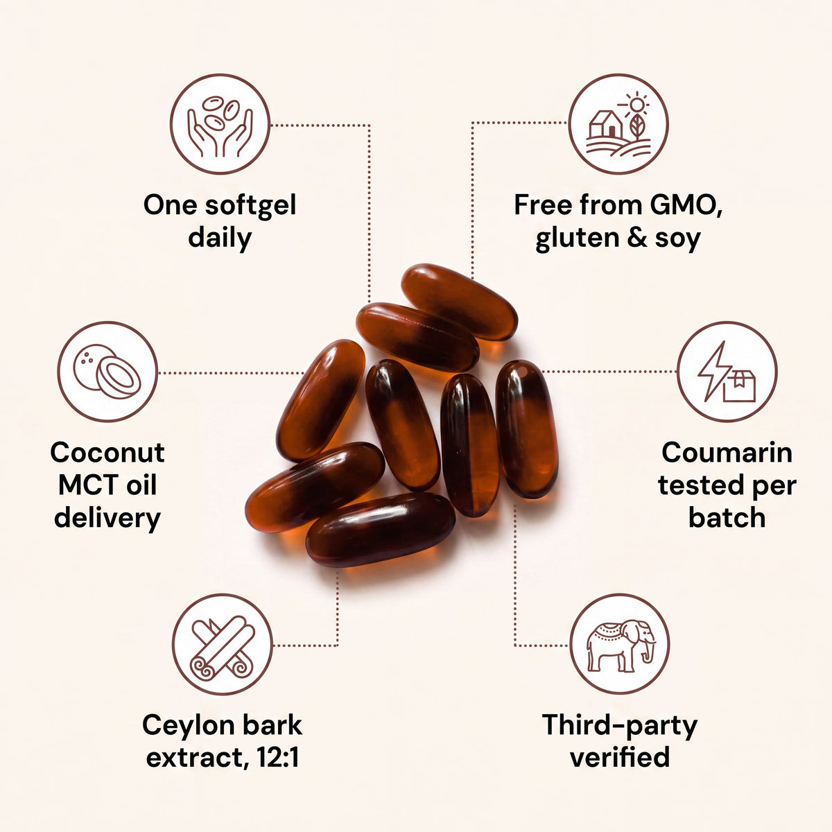 Ceylon Cinnamon 7200mg equivalent with MCT Oil