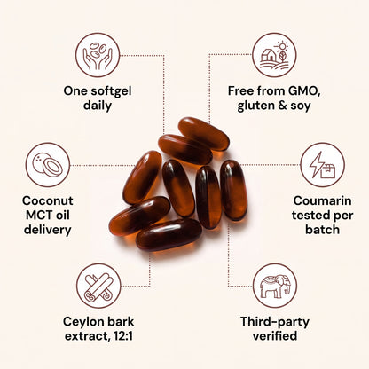 Ceylon Cinnamon 7200mg equivalent with MCT Oil